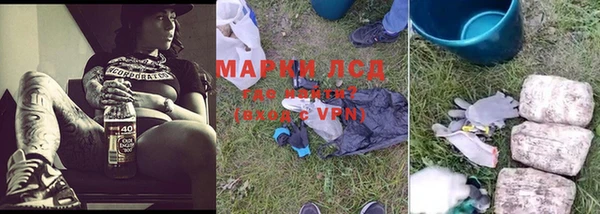 крисы Россошь