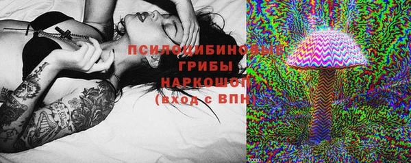 кокс Баксан